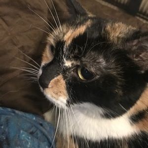 Meet your Posher, Tracy